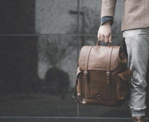 Sansevieria Laurentii